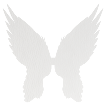 SKRZYDŁA BIAŁE ANIOŁ SKRZYDEŁKA ANIELSKIE BAZA DECOUPAGE DO ANIOŁA