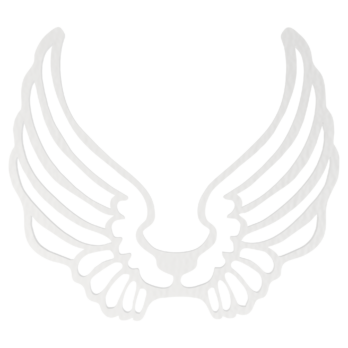 SKRZYDŁA BIAŁE ANIOŁ SKRZYDEŁKA ANIELSKIE BAZA DECOUPAGE DO ANIOŁA