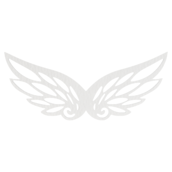 SKRZYDŁA BIAŁE ANIOŁ SKRZYDEŁKA ANIELSKIE BAZA DECOUPAGE DO ANIOŁA