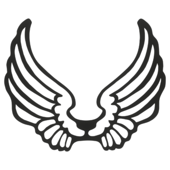 SKRZYDŁA CZARNE ANIOŁ SKRZYDEŁKA ANIELSKIE BAZA DECOUPAGE DO ANIOŁA