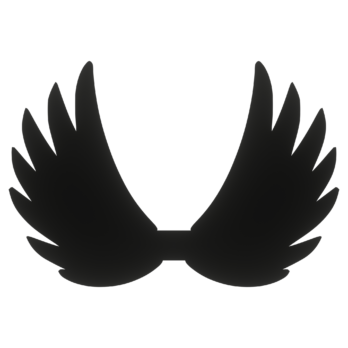 SKRZYDŁA CZARNE ANIOŁ SKRZYDEŁKA ANIELSKIE BAZA DECOUPAGE DO ANIOŁA