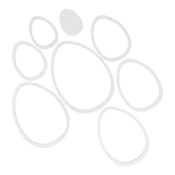 BIAŁY ZESTAW OBRĘCZY JAJKA WIELKANOC JAJKO BAZA MAKRAMA ŁAPACZ SNÓW