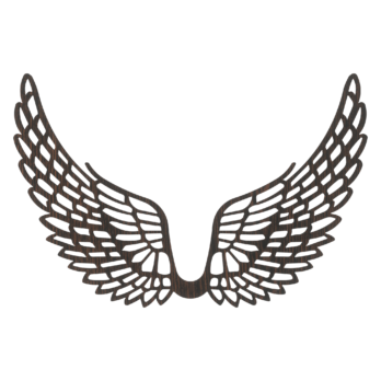 SKRZYDŁA DĄB WENGE ANIOŁ SKRZYDEŁKA ANIELSKIE BAZA DECOUPAGE DO ANIOŁA