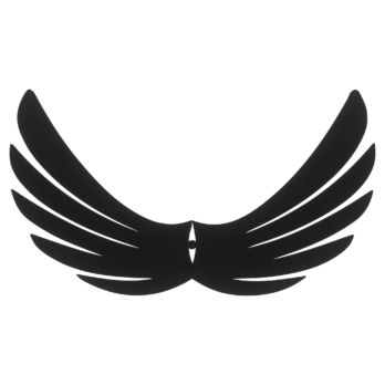 SKRZYDŁA CZARNE ANIOŁ SKRZYDEŁKA ANIELSKIE BAZA DECOUPAGE DO ANIOŁA