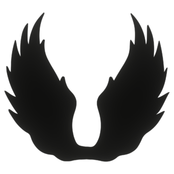 SKRZYDŁA CZARNE ANIOŁ SKRZYDEŁKA ANIELSKIE BAZA DECOUPAGE DO ANIOŁA