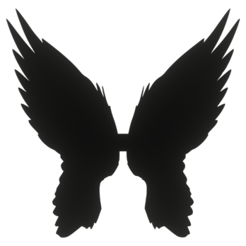 SKRZYDŁA CZARNE ANIOŁ SKRZYDEŁKA ANIELSKIE BAZA DECOUPAGE DO ANIOŁA
