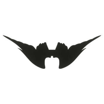 SKRZYDŁA CZARNE ANIOŁ SKRZYDEŁKA ANIELSKIE BAZA DECOUPAGE DO ANIOŁA