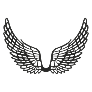 SKRZYDŁA CZARNE ANIOŁ SKRZYDEŁKA ANIELSKIE BAZA DECOUPAGE DO ANIOŁA