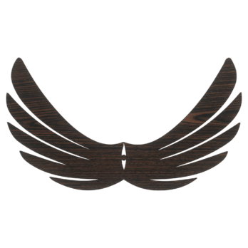 SKRZYDŁA DĄB WENGE ANIOŁ SKRZYDEŁKA ANIELSKIE BAZA DECOUPAGE DO ANIOŁA