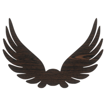 SKRZYDŁA DĄB WENGE ANIOŁ SKRZYDEŁKA ANIELSKIE BAZA DECOUPAGE DO ANIOŁA