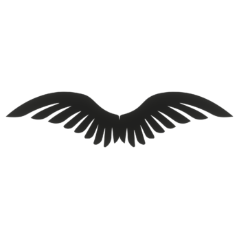 SKRZYDŁA CZARNE ANIOŁ SKRZYDEŁKA ANIELSKIE BAZA DECOUPAGE DO ANIOŁA